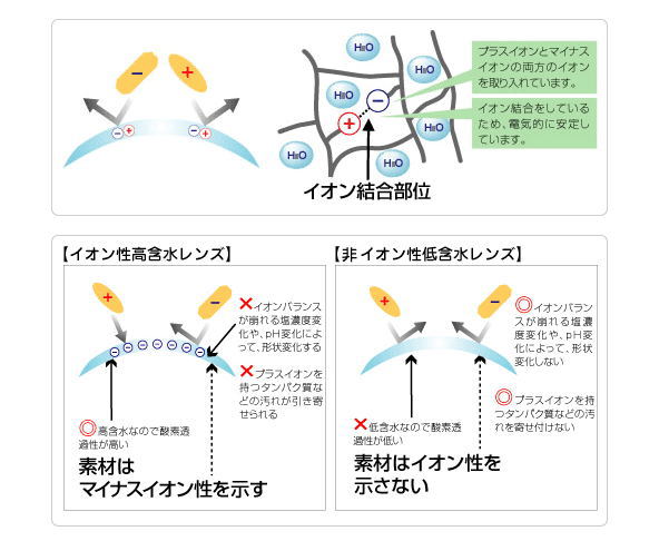 SIBイオン結合