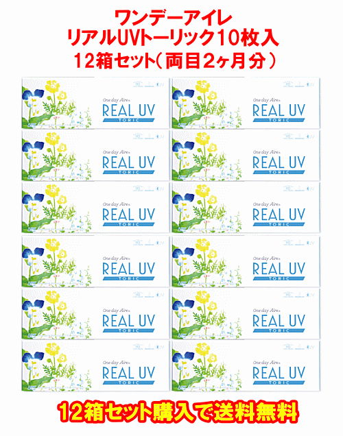 ワンデーアイレリアルUVトーリック送料無料12箱セット