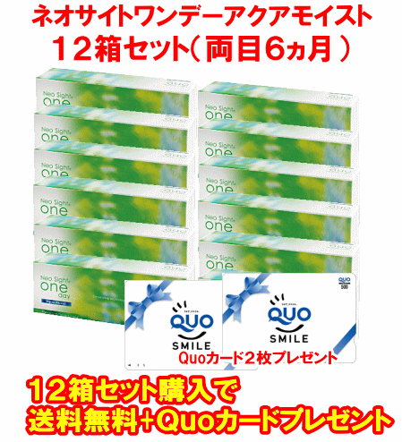 ネオサイトワンデーアクアモイスト送料無料12箱セット