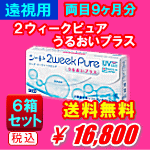 遠視用２ウィークピュアうるおいプラス6箱セット