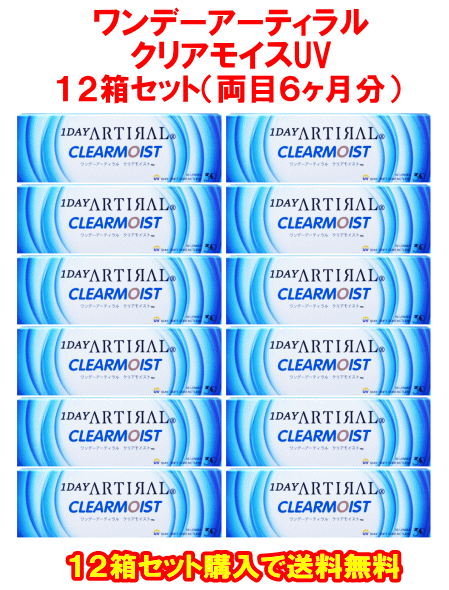 ワンデーアーティラル12箱セット