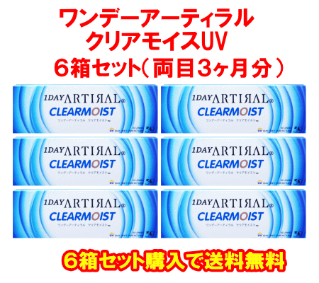 ワンデーアーティラル6箱セット