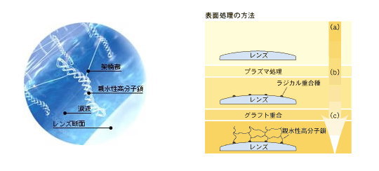 グラフト重合による表面処理