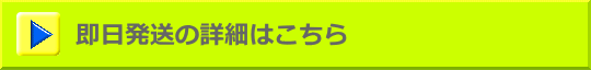 即日発送の詳細