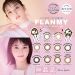 FLANMY10枚入り