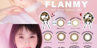 FLANMY10枚入り