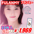 FLANMY10枚入り