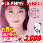 FLANMY30枚入り