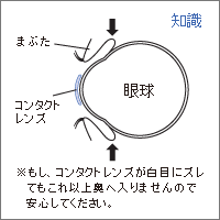 ずれても裏にはいかない